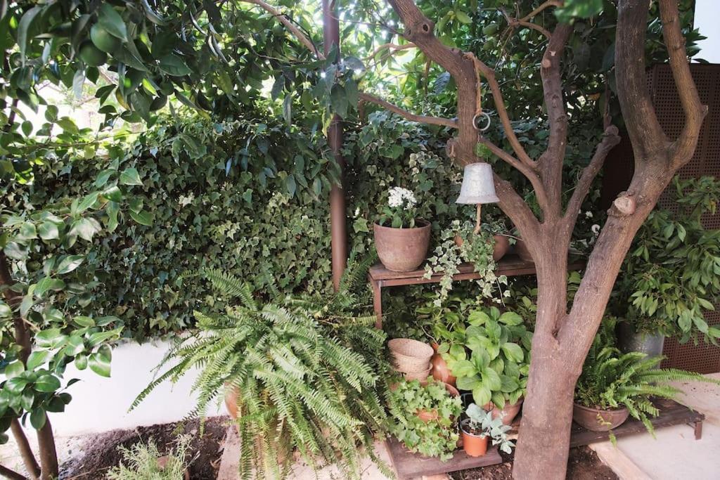 הוילה קנדלדה La Casa Del Jardin מראה חיצוני תמונה